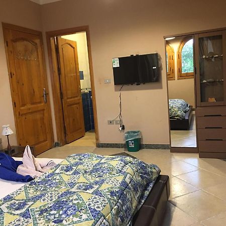 Dahab Home Bed&Breakfast エクステリア 写真